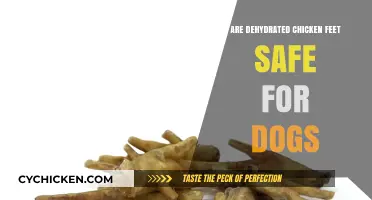 Dehydrated Chicken Feet for Dogs: Safe Treat or Risky Snack?