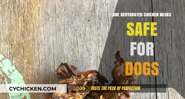 Dehydrated Chicken Necks for Dogs: Safe Treat or Health Risk?