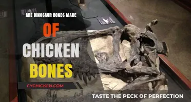 Dinosaur Bones vs. Chicken Bones: Unraveling the Fossil Mystery