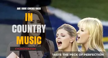 Are the Dixie Chicks Making a Country Music Comeback?