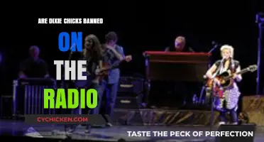 Are Dixie Chicks Still Banned from Radio Airplay?