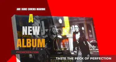 Dixie Chicks' New Album: Rumors, Updates, and What Fans Can Expect