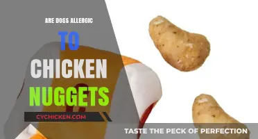 Can Dogs Eat Chicken Nuggets? Uncovering the Truth About Allergies