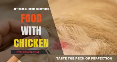 Chicken Dry Food: Can It Cause Allergies in Dogs?