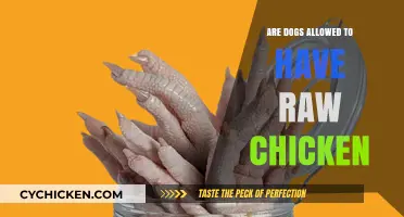 Can Dogs Eat Raw Chicken? Safety Tips and Guidelines