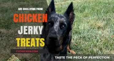 Chicken Jerky Treats: Uncovering the Truth About Dog Deaths