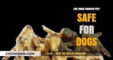 Are Dried Chicken Feet Safe for Dogs? A Complete Guide