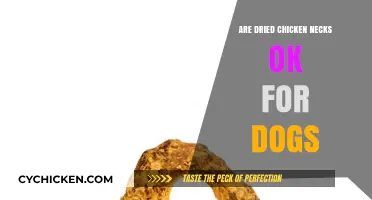 Dried Chicken Necks for Dogs: Safe Treat or Hidden Danger?