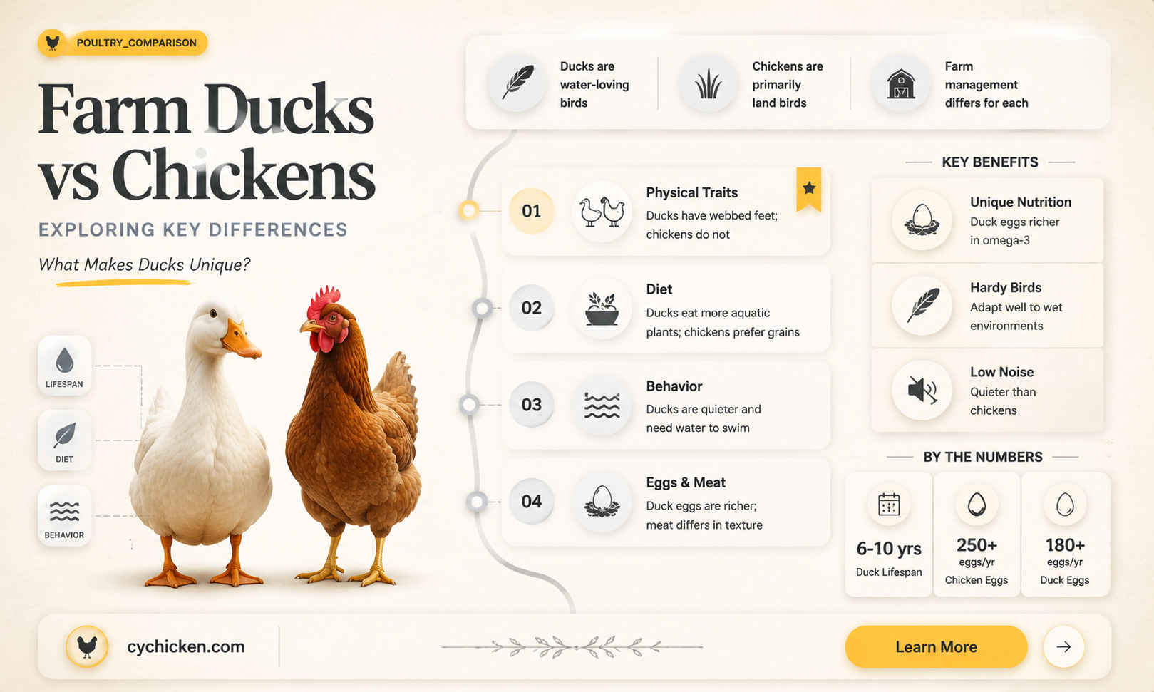 are ducks farm raisd same as chicken