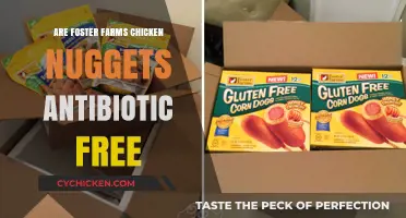 Are Foster Farms Chicken Nuggets Antibiotic-Free? Uncovering the Truth