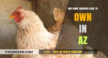 Are Game Chickens Legal in Arizona? Ownership Laws Explained