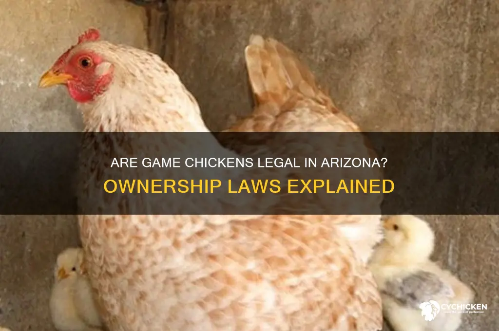 are game chicken legal to own in az