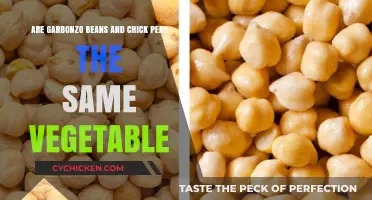 Garbonzo Beans and Chickpeas: Are They Identical?
