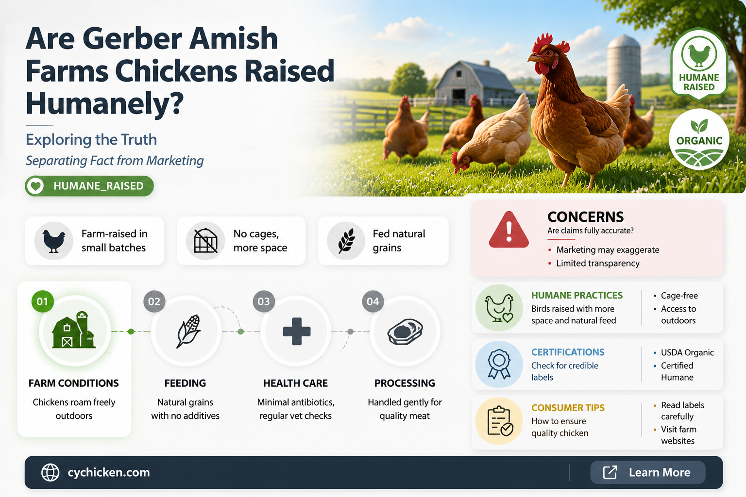 are gerber amish farms chicken humanly raised