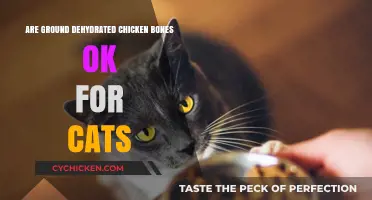 Are Dehydrated Chicken Bones Safe for Cats? What to Know