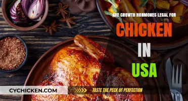 Are Growth Hormones Legal in US Chicken Farming?