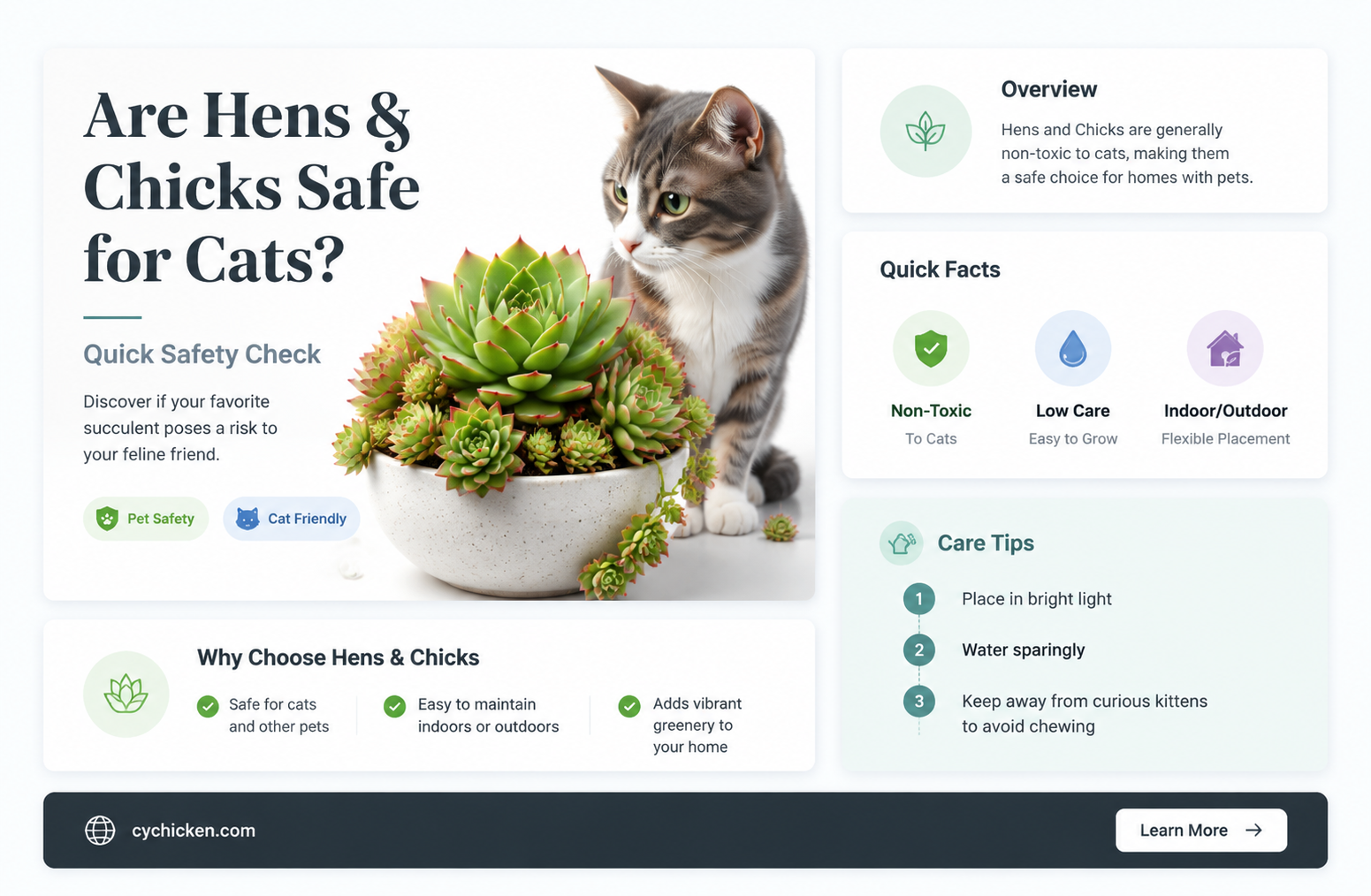 are hens and chicks plant safe for cats