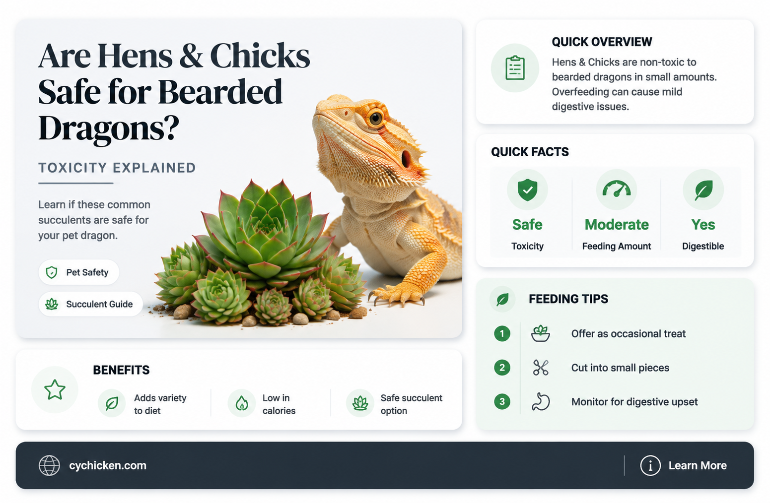 are hens and chicks poisonous to bearded dragons
