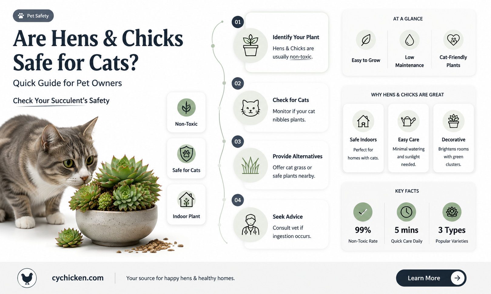 are hens and chicks succulents poisonous to cats