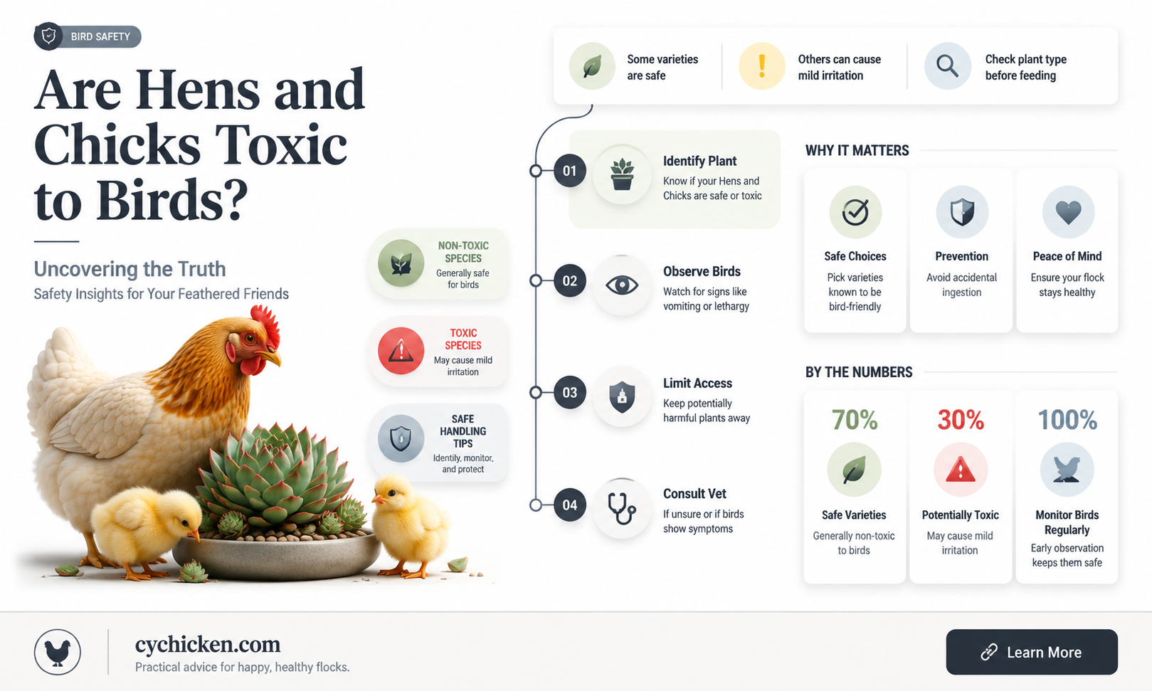 are hens and chicks poisonous to birds