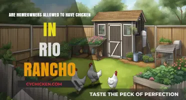 Rio Rancho's Chicken Rules: What Homeowners Should Know