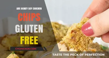 Honey Soy Chicken Chips: Gluten-Free Snack or Hidden Danger?