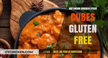 Are Knorr Chicken Stock Cubes Gluten-Free? A Complete Guide