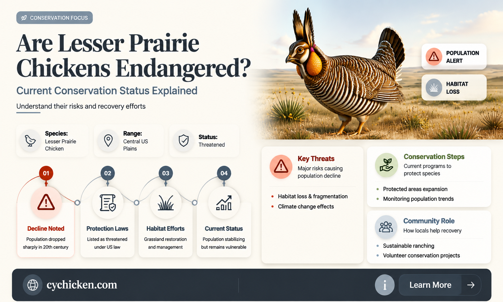 are lesser prairie chicken listed as endangered