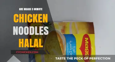 Are Maggi 3 Minute Chicken Noodles Halal? Find Out Here