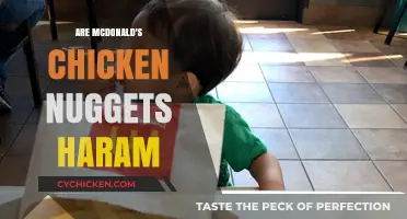 Are McDonald's Chicken Nuggets Haram? Exploring Halal Concerns