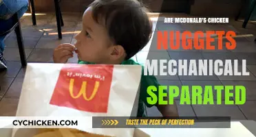 Are McDonald's Chicken Nuggets Mechanically Separated? The Truth Revealed