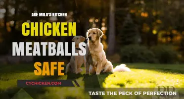 Are Milo's Kitchen Chicken Meatballs Safe for Your Dog?