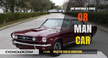 Mustangs: A Gender-Neutral Icon or a Gendered Ride?