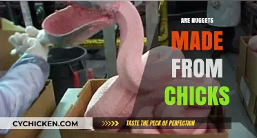 Are Nuggets Made from Chicks? Debunking the Myth Behind Chicken Nuggets
