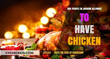 Can Jews Eat Chicken? Exploring Kashrut and Poultry in Judaism