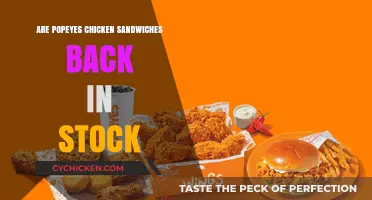 Popeyes Chicken Sandwiches Return: Are They Back in Stock?
