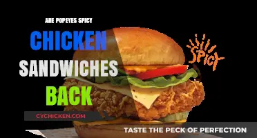 Popeyes Spicy Chicken Sandwich Returns: What You Need to Know