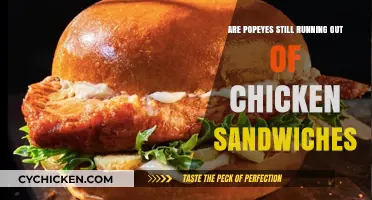 Popeyes Chicken Sandwich Shortage: Are They Still Running Out?