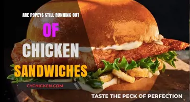 Popeyes Chicken Sandwich Shortage: Are They Still Running Out?