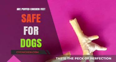 Puffed Chicken Feet: Safe Dog Treat or Hidden Danger?