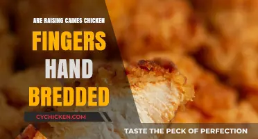Are Raising Cane's Chicken Fingers Hand-Breaded? The Truth Revealed