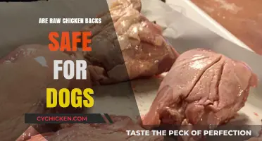 Raw Chicken Backs for Dogs: Safe or Risky Treat?