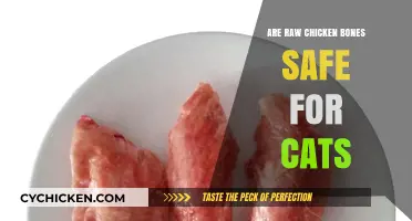 Raw Chicken Bones for Cats: Safe or Dangerous?