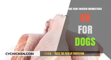 Can Dogs Eat Raw Chicken Drumsticks? Safety Tips and Risks