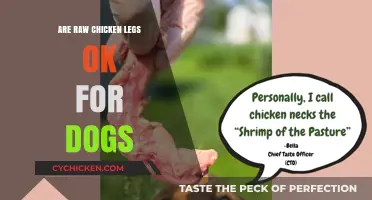 Can Dogs Eat Raw Chicken Legs? Safety and Nutrition Explained