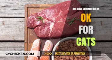 Can Cats Safely Eat Raw Chicken Necks? Expert Insights Revealed