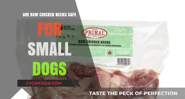 Raw Chicken Necks for Small Dogs: Safe or Risky?