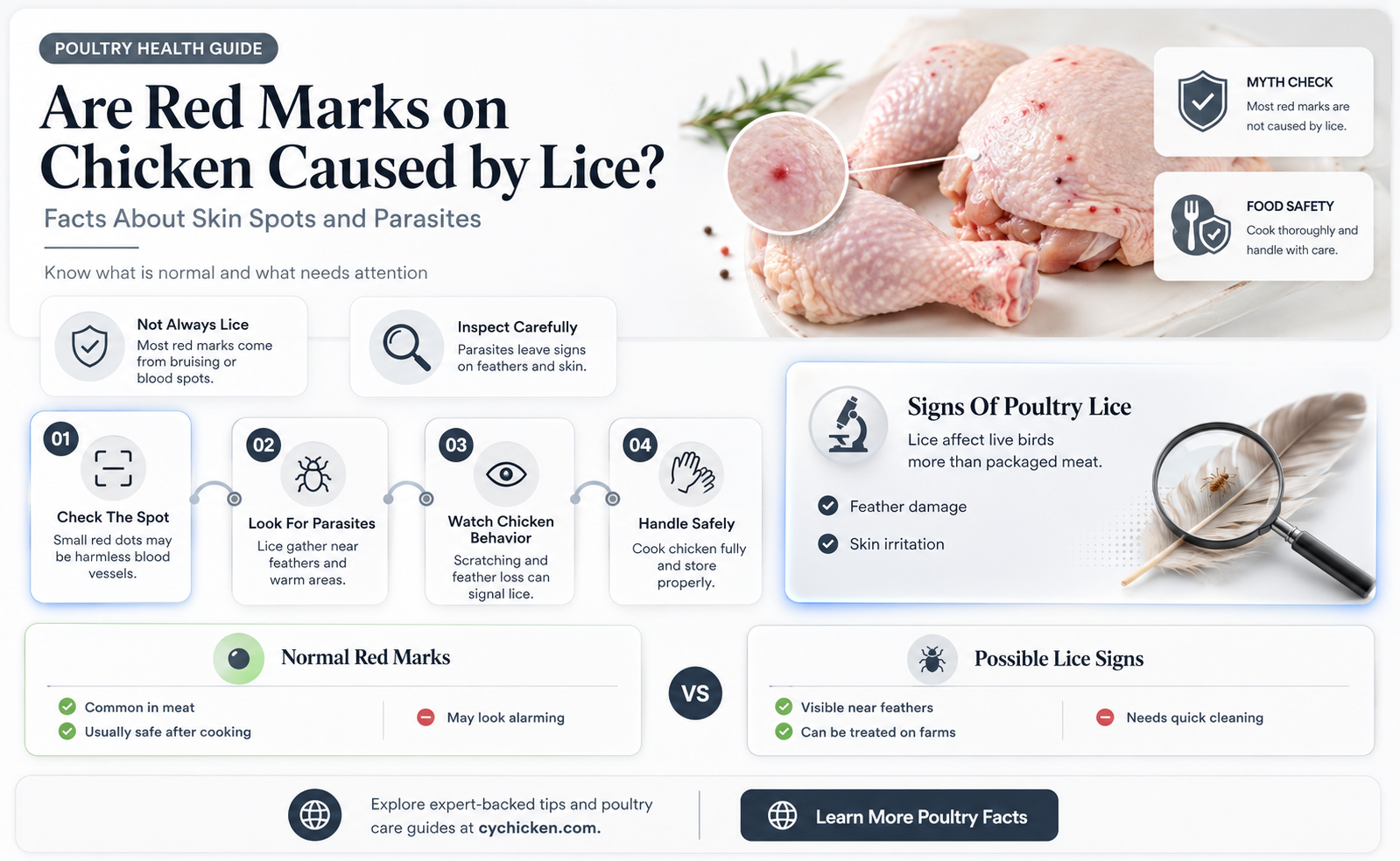 are red marks on chicken from lice
