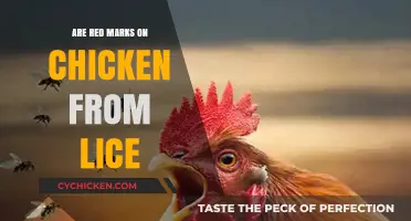 Are Red Marks on Chicken Caused by Lice? Facts Revealed