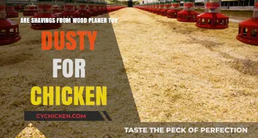 Chicken Coop Dust: Are Wood Planer Shavings Safe?
